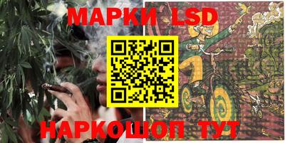 дмт Краснознаменск