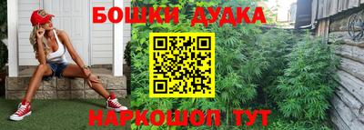 гашик Краснокаменск