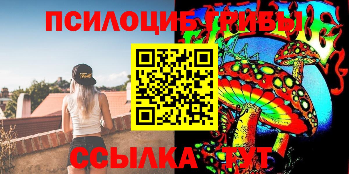 Калач-на-Дону  Псилоцибиновые грибы Psilocybe  Вход с VPN 